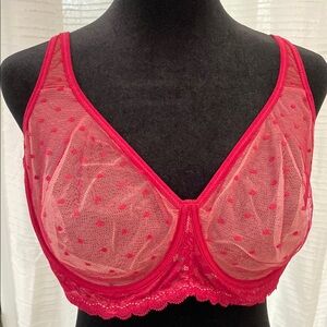 Red Lace Polka Dot Bra